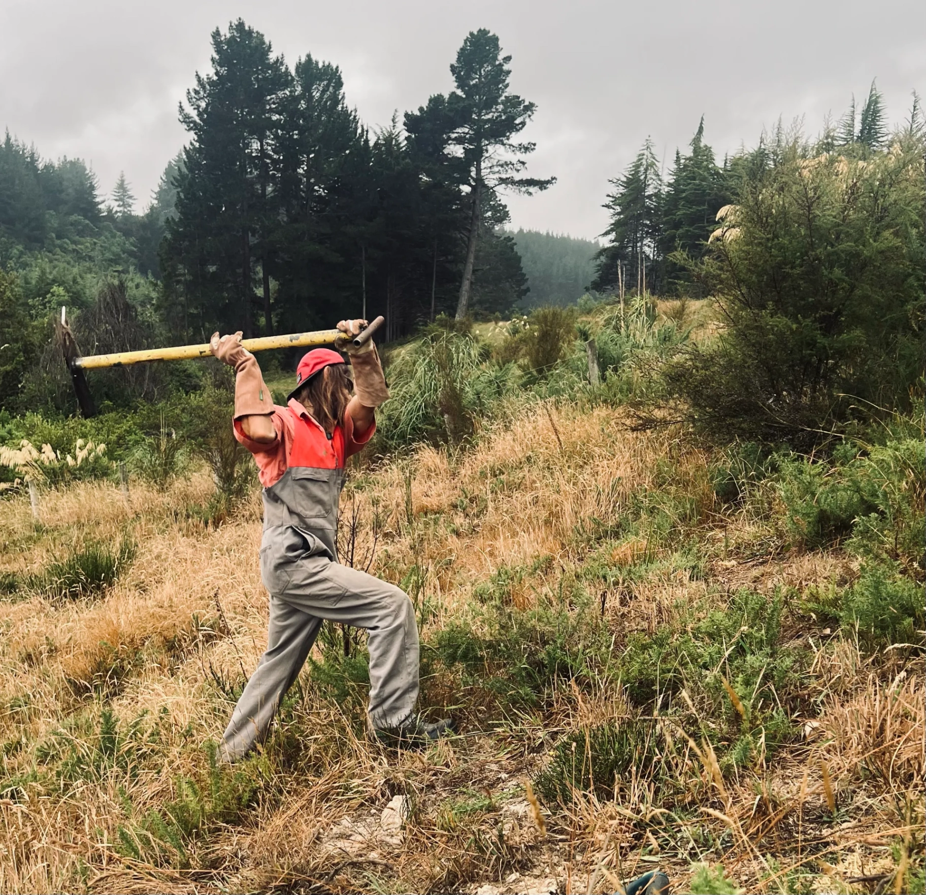 Down 2 Earth crew member on-site clearing a rural section