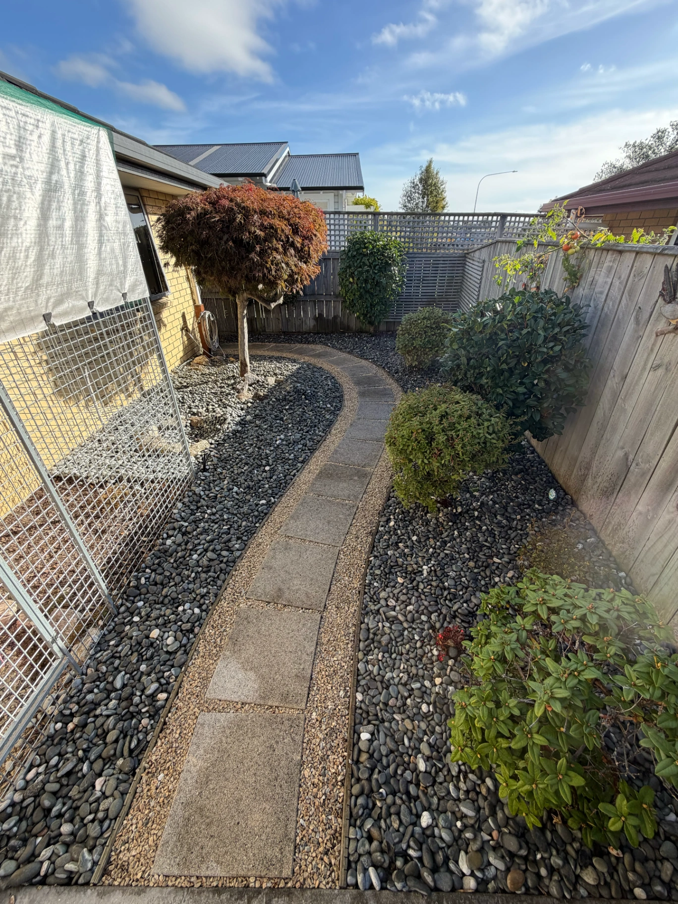 Transformed backyard - completed landscape