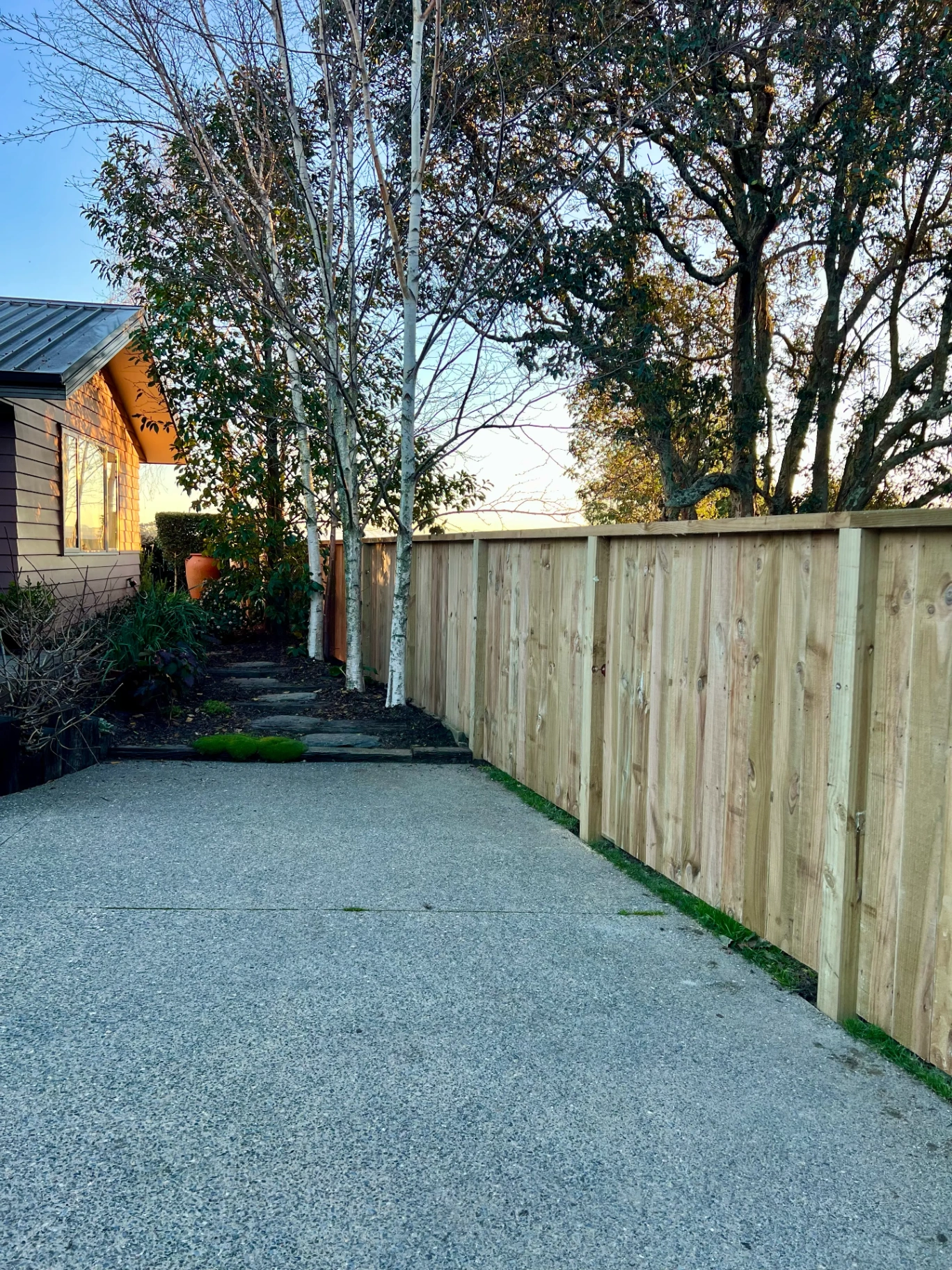 New timber fence alongside an established garden